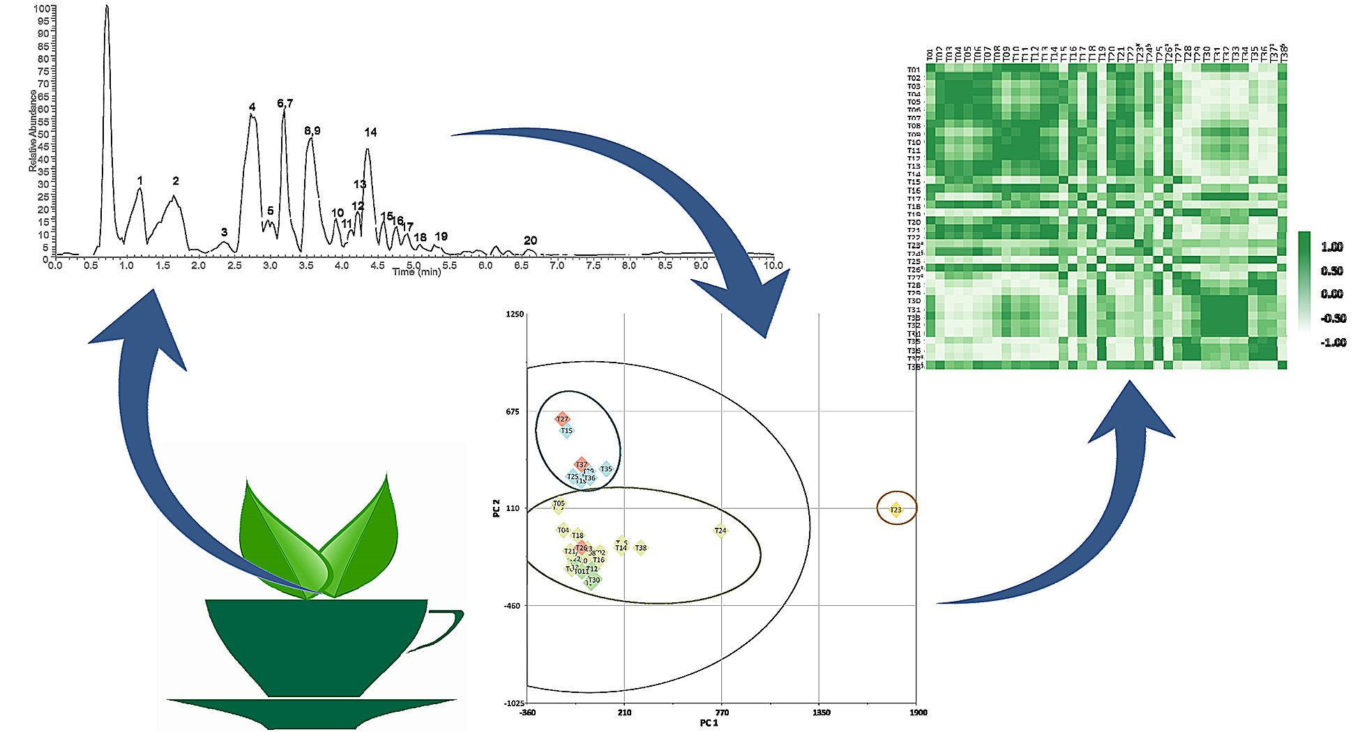 Featured Image for Center of Excellence for Natural Product Drug-Interaction (NaPDI) Research