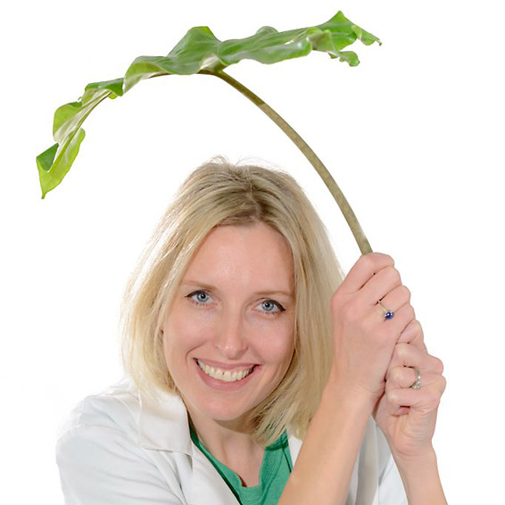 Dr. Nadja Cech