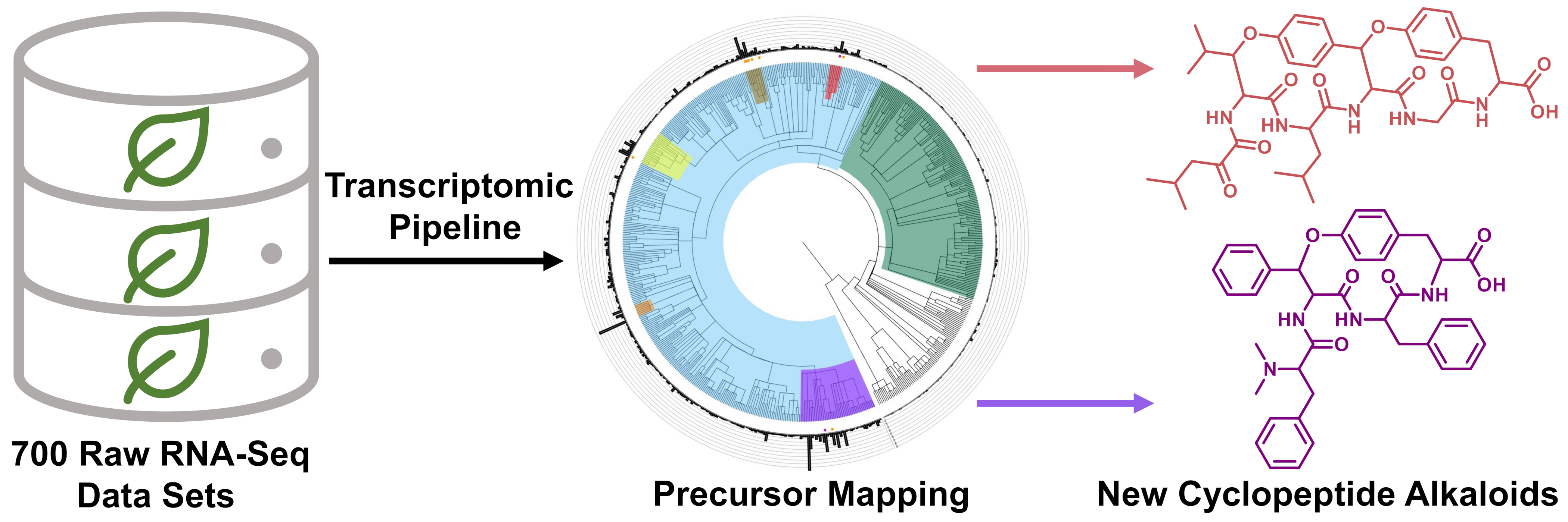 Featured Image for Transciptome Mining Paper Published