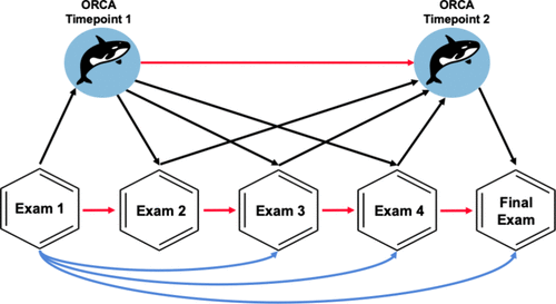 Reciprocal causation model between both ORCA time points and examinations with the snowball effect (black arrows